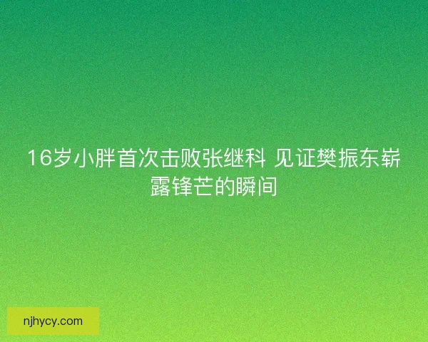 16岁小胖首次击败张继科 见证樊振东崭露锋芒的瞬间