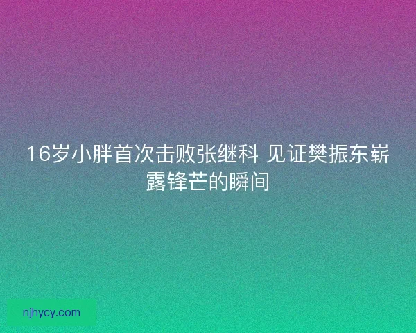 16岁小胖首次击败张继科 见证樊振东崭露锋芒的瞬间