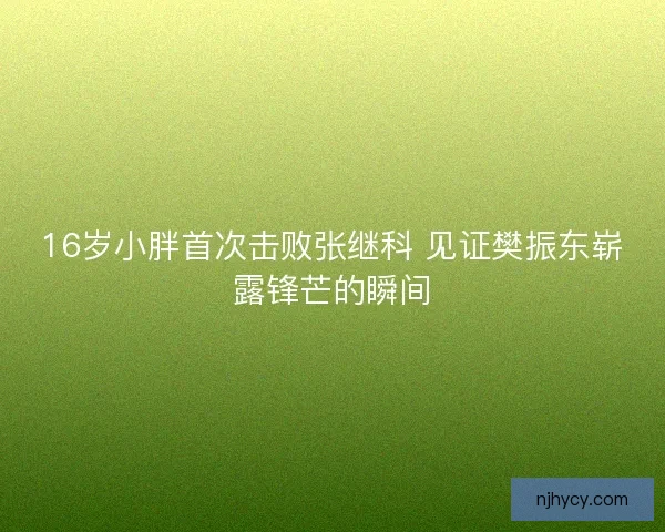 16岁小胖首次击败张继科 见证樊振东崭露锋芒的瞬间
